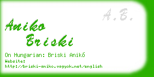 aniko briski business card